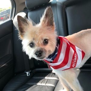 Meet your Posher, Georgia